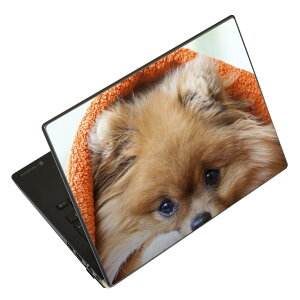 m[gp\R XLV[ 13.3C`܂őΉ ėpXebJ[ 2Zbg LAVIEp FMVp LIFEBOOKp Dynabookp Lenovop Thinkbookp IdeaPadp HPp Pavillonp ENVYp Elitep Dellp Vostrop Inspironp VAIOp 008644