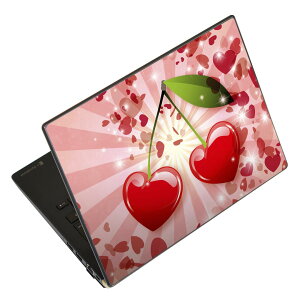 �m�[�g�p�\�R�� �X�L���V�[�� 17�C���`�܂őΉ� �ėp�X�e�b�J�[ 2���Z�b�g LAVIE�p FMV�p LIFEBOOK�p Dynabook�p Lenovo�p Thinkbook�p IdeaPad�p HP�p Pavillon�p ENVY�p Elite�p Dell�p Vostro�p Inspiron�p VAIO�p 008856 