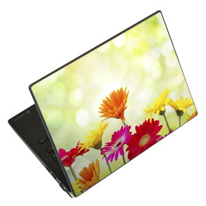 �m�[�g�p�\�R�� �X�L���V�[�� 17�C���`�܂őΉ� �ėp�X�e�b�J�[ 2���Z�b�g LAVIE�p FMV�p LIFEBOOK�p Dynabook�p Lenovo�p Thinkbook�p IdeaPad�p HP�p Pavillon�p ENVY�p Elite�p Dell�p Vostro�p Inspiron�p VAIO�p 008881 