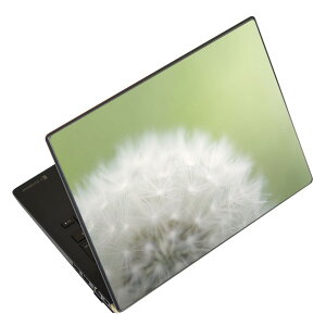m[gp\R XLV[ 17C`܂őΉ ėpXebJ[ 2Zbg LAVIEp FMVp LIFEBOOKp Dynabookp Lenovop Thinkbookp IdeaPadp HPp Pavillonp ENVYp Elitep Dellp Vostrop Inspironp VAIOp 008884 