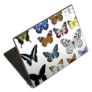 �m�[�g�p�\�R�� �X�L���V�[�� 17�C���`�܂őΉ� �ėp�X�e�b�J�[ 2���Z�b�g LAVIE�p FMV�p LIFEBOOK�p Dynabook�p Lenovo�p Thinkbook�p IdeaPad�p HP�p Pavillon�p ENVY�p Elite�p Dell�p Vostro�p Inspiron�p VAIO�p 009314 