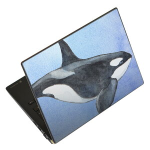 m[gp\R XLV[ 17C`܂őΉ ėpXebJ[ 2Zbg LAVIEp FMVp LIFEBOOKp Dynabookp Lenovop Thinkbookp IdeaPadp HPp Pavillonp ENVYp Elitep Dellp Vostrop Inspironp VAIOp 010302 