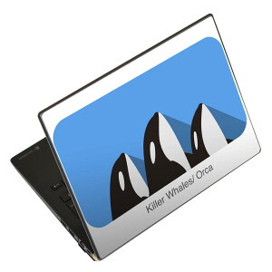 �m�[�g�p�\�R�� �X�L���V�[�� 13.3�C���`�܂őΉ� �ėp�X�e�b�J�[ 2���Z�b�g LAVIE�p FMV�p LIFEBOOK�p Dynabook�p Lenovo�p Thinkbook�p IdeaPad�p HP�p Pavillon�p ENVY�p Elite�p Dell�p Vostro�p Inspiron�p VAIO�p 010994