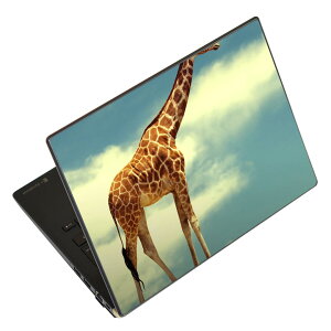 m[gp\R XLV[ 17C`܂őΉ ėpXebJ[ 2Zbg LAVIEp FMVp LIFEBOOKp Dynabookp Lenovop Thinkbookp IdeaPadp HPp Pavillonp ENVYp Elitep Dellp Vostrop Inspironp VAIOp 011010 