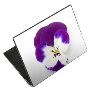 ノートパソコン スキンシール 17インチまで対応 汎用ステッカー 2枚セット LAVIE用 FMV用 LIFEBOOK用 Dynabook用 Lenovo用 Thinkbook用 IdeaPad用 HP用 Pavillon用 ENVY用 Elite用 Dell用 Vostro用 Inspiron用 VAIO用 011038