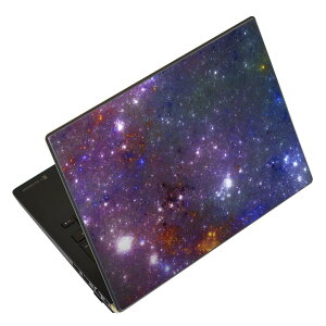 ノートパソコン スキンシール 17インチまで対応 汎用ステッカー 2枚セット LAVIE用 FMV用 LIFEBOOK用 Dynabook用 Lenovo用 Thinkbook用 IdeaPad用 HP用 Pavillon用 ENVY用 Elite用 Dell用 Vostro用 Inspiron用 VAIO用 011146