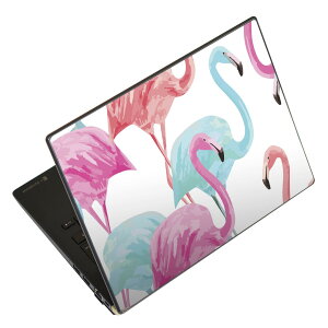 �m�[�g�p�\�R�� �X�L���V�[�� 17�C���`�܂őΉ� �ėp�X�e�b�J�[ 2���Z�b�g LAVIE�p FMV�p LIFEBOOK�p Dynabook�p Lenovo�p Thinkbook�p IdeaPad�p HP�p Pavillon�p ENVY�p Elite�p Dell�p Vostro�p Inspiron�p VAIO�p 011250 
