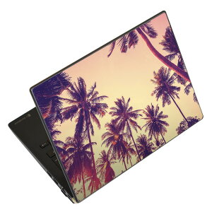 m[gp\R XLV[ XebJ[ \2Zbg \e1Zbg ǂ炩Iׂ NEC LAVIEp N1515 N1530 N1535 N1555 N1565 N1570 N1573 N1575 N1585 N153C N156D N157C LAVIE Smart N15 LAVIE Direct N15