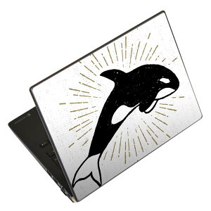 m[gp\R XLV[ 17C`܂őΉ ėpXebJ[ 2Zbg LAVIEp FMVp LIFEBOOKp Dynabookp Lenovop Thinkbookp IdeaPadp HPp Pavillonp ENVYp Elitep Dellp Vostrop Inspironp VAIOp 011421 