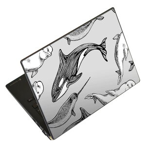 �m�[�g�p�\�R�� �X�L���V�[�� 13.3�C���`�܂őΉ� �ėp�X�e�b�J�[ 2���Z�b�g LAVIE�p FMV�p LIFEBOOK�p Dynabook�p Lenovo�p Thinkbook�p IdeaPad�p HP�p Pavillon�p ENVY�p Elite�p Dell�p Vostro�p Inspiron�p VAIO�p 011423