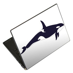 m[gp\R XLV[ 13.3C`܂őΉ ėpXebJ[ 2Zbg LAVIEp FMVp LIFEBOOKp Dynabookp Lenovop Thinkbookp IdeaPadp HPp Pavillonp ENVYp Elitep Dellp Vostrop Inspironp VAIOp 011424