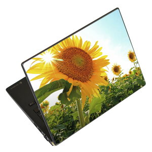 m[gp\R XLV[ 17C`܂őΉ ėpXebJ[ 2Zbg LAVIEp FMVp LIFEBOOKp Dynabookp Lenovop Thinkbookp IdeaPadp HPp Pavillonp ENVYp Elitep Dellp Vostrop Inspironp VAIOp 011440 