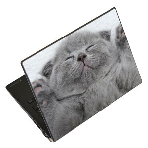 m[gp\R XLV[ 13.3C`܂őΉ ėpXebJ[ 2Zbg LAVIEp FMVp LIFEBOOKp Dynabookp Lenovop Thinkbookp IdeaPadp HPp Pavillonp ENVYp Elitep Dellp Vostrop Inspironp VAIOp 011682