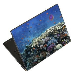 m[gp\R XLV[ 13.3C`܂őΉ ėpXebJ[ 2Zbg LAVIEp FMVp LIFEBOOKp Dynabookp Lenovop Thinkbookp IdeaPadp HPp Pavillonp ENVYp Elitep Dellp Vostrop Inspironp VAIOp 011697