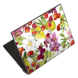 �m�[�g�p�\�R�� �X�L���V�[�� 13.3�C���`�܂őΉ� �ėp�X�e�b�J�[ 2���Z�b�g LAVIE�p FMV�p LIFEBOOK�p Dynabook�p Lenovo�p Thinkbook�p IdeaPad�p HP�p Pavillon�p ENVY�p Elite�p Dell�p Vostro�p Inspiron�p VAIO�p 011895