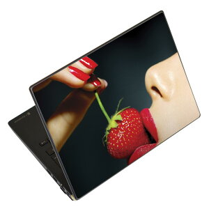 m[gp\R XLV[ 13.3C`܂őΉ ėpXebJ[ 2Zbg LAVIEp FMVp LIFEBOOKp Dynabookp Lenovop Thinkbookp IdeaPadp HPp Pavillonp ENVYp Elitep Dellp Vostrop Inspironp VAIOp 011897