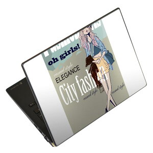 �m�[�g�p�\�R�� �X�L���V�[�� 17�C���`�܂őΉ� �ėp�X�e�b�J�[ 2���Z�b�g LAVIE�p FMV�p LIFEBOOK�p Dynabook�p Lenovo�p Thinkbook�p IdeaPad�p HP�p Pavillon�p ENVY�p Elite�p Dell�p Vostro�p Inspiron�p VAIO�p 011933 