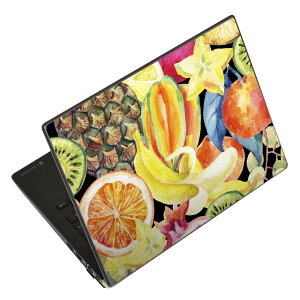 �m�[�g�p�\�R�� �X�L���V�[�� 17�C���`�܂őΉ� �ėp�X�e�b�J�[ 2���Z�b�g LAVIE�p FMV�p LIFEBOOK�p Dynabook�p Lenovo�p Thinkbook�p IdeaPad�p HP�p Pavillon�p ENVY�p Elite�p Dell�p Vostro�p Inspiron�p VAIO�p 012114 