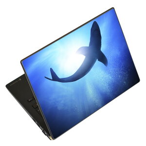 �m�[�g�p�\�R�� �X�L���V�[�� 13.3�C���`�܂őΉ� �ėp�X�e�b�J�[ 2���Z�b�g LAVIE�p FMV�p LIFEBOOK�p Dynabook�p Lenovo�p Thinkbook�p IdeaPad�p HP�p Pavillon�p ENVY�p Elite�p Dell�p Vostro�p Inspiron�p VAIO�p 012652