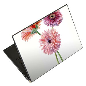 �m�[�g�p�\�R�� �X�L���V�[�� 13.3�C���`�܂őΉ� �ėp�X�e�b�J�[ 2���Z�b�g LAVIE�p FMV�p LIFEBOOK�p Dynabook�p Lenovo�p Thinkbook�p IdeaPad�p HP�p Pavillon�p ENVY�p Elite�p Dell�p Vostro�p Inspiron�p VAIO�p 013498