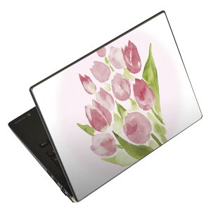 �m�[�g�p�\�R�� �X�L���V�[�� 17�C���`�܂őΉ� �ėp�X�e�b�J�[ 2���Z�b�g LAVIE�p FMV�p LIFEBOOK�p Dynabook�p Lenovo�p Thinkbook�p IdeaPad�p HP�p Pavillon�p ENVY�p Elite�p Dell�p Vostro�p Inspiron�p VAIO�p 013500 