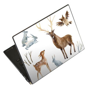 m[gp\R XLV[ 17C`܂őΉ ėpXebJ[ 2Zbg LAVIEp FMVp LIFEBOOKp Dynabookp Lenovop Thinkbookp IdeaPadp HPp Pavillonp ENVYp Elitep Dellp Vostrop Inspironp VAIOp 014022 