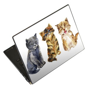 �m�[�g�p�\�R�� �X�L���V�[�� 17�C���`�܂őΉ� �ėp�X�e�b�J�[ 2���Z�b�g LAVIE�p FMV�p LIFEBOOK�p Dynabook�p Lenovo�p Thinkbook�p IdeaPad�p HP�p Pavillon�p ENVY�p Elite�p Dell�p Vostro�p Inspiron�p VAIO�p 014023 