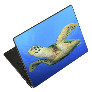 m[gp\R XLV[ 17C`܂őΉ ėpXebJ[ 2Zbg LAVIEp FMVp LIFEBOOKp Dynabookp Lenovop Thinkbookp IdeaPadp HPp Pavillonp ENVYp Elitep Dellp Vostrop Inspironp VAIOp 014050 