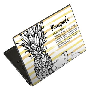 �m�[�g�p�\�R�� �X�L���V�[�� 17�C���`�܂őΉ� �ėp�X�e�b�J�[ 2���Z�b�g LAVIE�p FMV�p LIFEBOOK�p Dynabook�p Lenovo�p Thinkbook�p IdeaPad�p HP�p Pavillon�p ENVY�p Elite�p Dell�p Vostro�p Inspiron�p VAIO�p 014264 