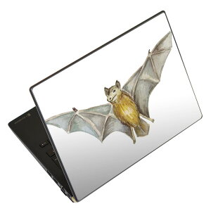 �m�[�g�p�\�R�� �X�L���V�[�� 13.3�C���`�܂őΉ� �ėp�X�e�b�J�[ 2���Z�b�g LAVIE�p FMV�p LIFEBOOK�p Dynabook�p Lenovo�p Thinkbook�p IdeaPad�p HP�p Pavillon�p ENVY�p Elite�p Dell�p Vostro�p Inspiron�p VAIO�p 014710