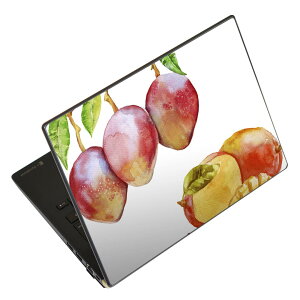 m[gp\R XLV[ 17C`܂őΉ ėpXebJ[ 2Zbg LAVIEp FMVp LIFEBOOKp Dynabookp Lenovop Thinkbookp IdeaPadp HPp Pavillonp ENVYp Elitep Dellp Vostrop Inspironp VAIOp 014791 