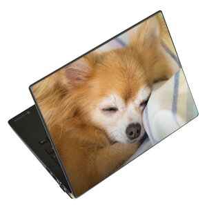 ノートパソコン スキンシール 17インチまで対応 汎用ステッカー 2枚セット LAVIE用 FMV用 LIFEBOOK用 Dynabook用 Lenovo用 Thinkbook用 IdeaPad用 HP用 Pavillon用 ENVY用 Elite用 Dell用 Vostro用 Inspiron用 VAIO用 014826