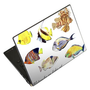 m[gp\R XLV[ 17C`܂őΉ ėpXebJ[ 2Zbg LAVIEp FMVp LIFEBOOKp Dynabookp Lenovop Thinkbookp IdeaPadp HPp Pavillonp ENVYp Elitep Dellp Vostrop Inspironp VAIOp 014827 