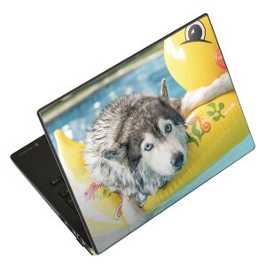 ノートパソコン スキンシール 13.3インチまで対応 汎用ステッカー 2枚セット LAVIE用 FMV用 LIFEBOOK用 Dynabook用 Lenovo用 Thinkbook用 IdeaPad用 HP用 Pavillon用 ENVY用 Elite用 Dell用 Vostro用 Inspiron用 VAIO用 014842