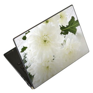 m[gp\R XLV[ 17C`܂őΉ ėpXebJ[ 2Zbg LAVIEp FMVp LIFEBOOKp Dynabookp Lenovop Thinkbookp IdeaPadp HPp Pavillonp ENVYp Elitep Dellp Vostrop Inspironp VAIOp 014861 