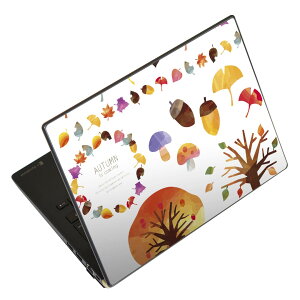 �m�[�g�p�\�R�� �X�L���V�[�� 13.3�C���`�܂őΉ� �ėp�X�e�b�J�[ 2���Z�b�g LAVIE�p FMV�p LIFEBOOK�p Dynabook�p Lenovo�p Thinkbook�p IdeaPad�p HP�p Pavillon�p ENVY�p Elite�p Dell�p Vostro�p Inspiron�p VAIO�p 014959