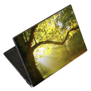 m[gp\R XLV[ 17C`܂őΉ ėpXebJ[ 2Zbg LAVIEp FMVp LIFEBOOKp Dynabookp Lenovop Thinkbookp IdeaPadp HPp Pavillonp ENVYp Elitep Dellp Vostrop Inspironp VAIOp 014991 