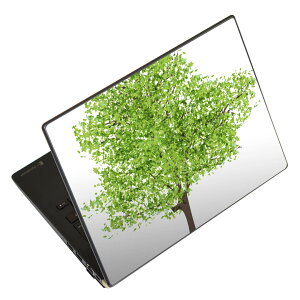 �m�[�g�p�\�R�� �X�L���V�[�� 17�C���`�܂őΉ� �ėp�X�e�b�J�[ 2���Z�b�g LAVIE�p FMV�p LIFEBOOK�p Dynabook�p Lenovo�p Thinkbook�p IdeaPad�p HP�p Pavillon�p ENVY�p Elite�p Dell�p Vostro�p Inspiron�p VAIO�p 015657 