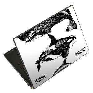 ノートパソコン スキンシール 13.3インチまで対応 汎用ステッカー 2枚セット LAVIE用 FMV用 LIFEBOOK用 Dynabook用 Lenovo用 Thinkbook用 IdeaPad用 HP用 Pavillon用 ENVY用 Elite用 Dell用 Vostro用 Inspiron用 VAIO用 015819