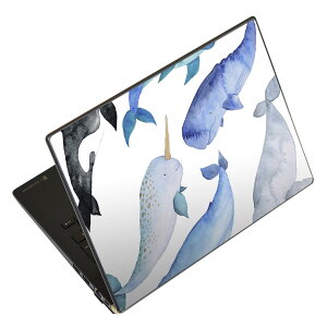 m[gp\R XLV[ 13.3C`܂őΉ ėpXebJ[ 2Zbg LAVIEp FMVp LIFEBOOKp Dynabookp Lenovop Thinkbookp IdeaPadp HPp Pavillonp ENVYp Elitep Dellp Vostrop Inspironp VAIOp 015826