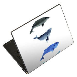 m[gp\R XLV[ 13.3C`܂őΉ ėpXebJ[ 2Zbg LAVIEp FMVp LIFEBOOKp Dynabookp Lenovop Thinkbookp IdeaPadp HPp Pavillonp ENVYp Elitep Dellp Vostrop Inspironp VAIOp 015831