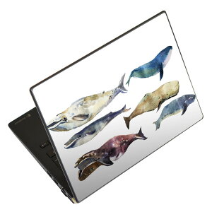 m[gp\R XLV[ 17C`܂őΉ ėpXebJ[ 2Zbg LAVIEp FMVp LIFEBOOKp Dynabookp Lenovop Thinkbookp IdeaPadp HPp Pavillonp ENVYp Elitep Dellp Vostrop Inspironp VAIOp 015833 