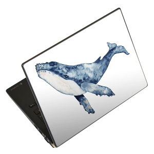 m[gp\R XLV[ 13.3C`܂őΉ ėpXebJ[ 2Zbg LAVIEp FMVp LIFEBOOKp Dynabookp Lenovop Thinkbookp IdeaPadp HPp Pavillonp ENVYp Elitep Dellp Vostrop Inspironp VAIOp 017506