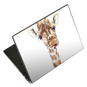 m[gp\R XLV[ 13.3C`܂őΉ ėpXebJ[ 2Zbg LAVIEp FMVp LIFEBOOKp Dynabookp Lenovop Thinkbookp IdeaPadp HPp Pavillonp ENVYp Elitep Dellp Vostrop Inspironp VAIOp 017749