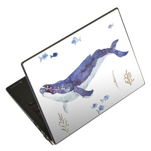 m[gp\R XLV[ 17C`܂őΉ ėpXebJ[ 2Zbg LAVIEp FMVp LIFEBOOKp Dynabookp Lenovop Thinkbookp IdeaPadp HPp Pavillonp ENVYp Elitep Dellp Vostrop Inspironp VAIOp 017806 