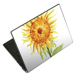 �m�[�g�p�\�R�� �X�L���V�[�� 13.3�C���`�܂őΉ� �ėp�X�e�b�J�[ 2���Z�b�g LAVIE�p FMV�p LIFEBOOK�p Dynabook�p Lenovo�p Thinkbook�p IdeaPad�p HP�p Pavillon�p ENVY�p Elite�p Dell�p Vostro�p Inspiron�p VAIO�p 017807