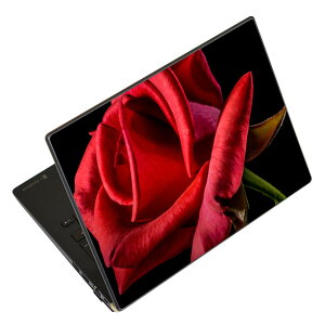 �m�[�g�p�\�R�� �X�L���V�[�� 13.3�C���`�܂őΉ� �ėp�X�e�b�J�[ 2���Z�b�g LAVIE�p FMV�p LIFEBOOK�p Dynabook�p Lenovo�p Thinkbook�p IdeaPad�p HP�p Pavillon�p ENVY�p Elite�p Dell�p Vostro�p Inspiron�p VAIO�p 018330