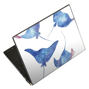 �m�[�g�p�\�R�� �X�L���V�[�� 13.3�C���`�܂őΉ� �ėp�X�e�b�J�[ 2���Z�b�g LAVIE�p FMV�p LIFEBOOK�p Dynabook�p Lenovo�p Thinkbook�p IdeaPad�p HP�p Pavillon�p ENVY�p Elite�p Dell�p Vostro�p Inspiron�p VAIO�p 018993