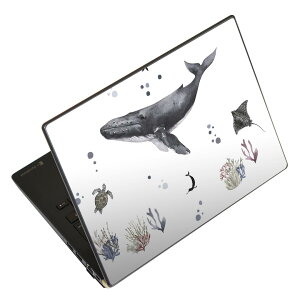 m[gp\R XLV[ 13.3C`܂őΉ ėpXebJ[ 2Zbg LAVIEp FMVp LIFEBOOKp Dynabookp Lenovop Thinkbookp IdeaPadp HPp Pavillonp ENVYp Elitep Dellp Vostrop Inspironp VAIOp 019001