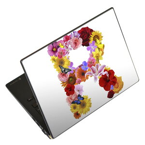 �m�[�g�p�\�R�� �X�L���V�[�� 13.3�C���`�܂őΉ� �ėp�X�e�b�J�[ 2���Z�b�g LAVIE�p FMV�p LIFEBOOK�p Dynabook�p Lenovo�p Thinkbook�p IdeaPad�p HP�p Pavillon�p ENVY�p Elite�p Dell�p Vostro�p Inspiron�p VAIO�p 019323